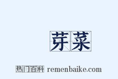 黃芽菜是什么意思的图片